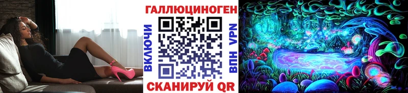 Галлюциногенные грибы Psilocybine cubensis  KRAKEN ссылки  Тамбов 